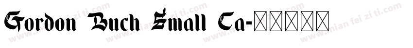Gordon Buch Small Ca字体转换